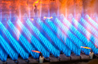 Dunstan gas fired boilers